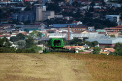 FEIJAO