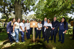Palácio da Justiça ganha jardins de mel do Poliniza Paraná