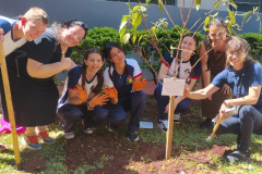 Com 25.340 mudas, Instituto Água e Terra (IAT) superou em 20% a meta de distribuição de espécies nativas durante a Semana da Árvore, celebrada entre 15 e 21 de setembro (Dia da Árvore).