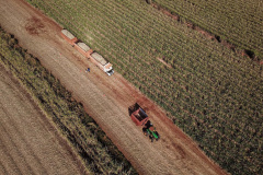 AGRO