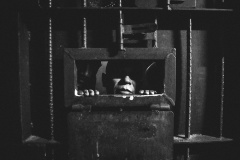 CULTURA: MIS-PR promove visita guiada noturna em exposição com temática carcerária