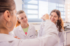 Paraná incentiva o fomento à pesquisa com bolsas que cobrem toda a trajetória acadêmica e profissional