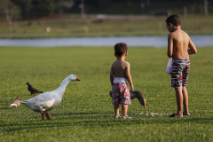APÓS QUATRO DIAS COM TEMPERATURAS ACIMA DE 35°C NO PARANÁ, ÚLTIMO DIA DE NOVEMBRO TERÁ PANCADAS DE CHUVA