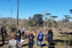  PCPR prende homem por desmatar 106 hectares de floresta em Rio Azul 