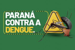 Paraná tem redução de casos e mortes por dengue maior que a média nacional