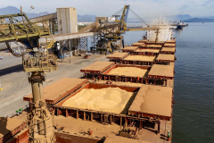 Soja responde por 21% da movimentação anual e lidera exportações nos portos do Paraná