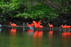 VIAJE PARANÁ - Experiências turísticas do Paraná são destaque em guia nacional durante a COP30