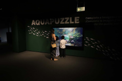 Economia aquecida: turismo e serviços crescem no Paraná em 2025, aponta IBGE