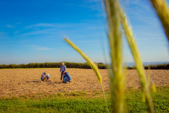 araná seleciona profissionais para atuar em práticas sustentáveis no meio rural