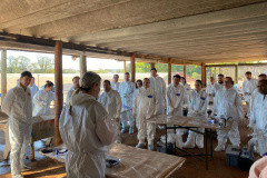  Treinamento sobre suspeitas e emergências avícolas é promovido pelo Governo do Paraná