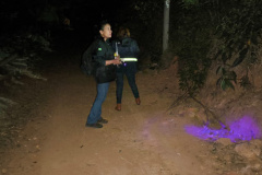 SESA - Ações no Norte Pioneiro somam mais de 5 mil capturas de escorpiões nos últimos meses