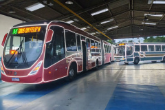  Ônibus com iluminação especial de Natal começam a circular na Região Metropolitana de Curitiba