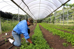 Tecpar seleciona bolsistas para programa de certificação de orgânicos