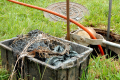 E depois da descarga? Como o descarte incorreto pode fazer o esgoto invadir sua casa 