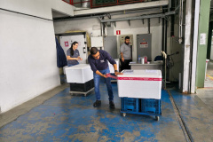 Paraná inicia a distribuição da vacina contra o Vírus Sincicial Respiratório para as Regionais de Saúde