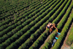 Agro soma R$ 1,26 bilhão em contratações do BRDE no Paraná e banco prepara programação especial para Show Rural 2026