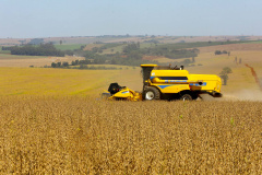 SEAB - Safra ganha volume e consolida cenário positivo no campo paranaense