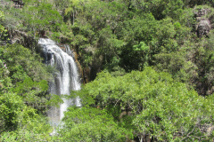 Créditos de biodiversidade