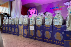 Nascer Bem: Estado inicia calendário de 2026 com entrega de 366 kits nas regiões Oeste e Sudoeste