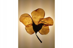 Sede Adalice Araújo recebe “Costa Oeste” como primeira mostra do ano