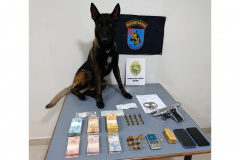 Sistema Olho Vivo auxilia PMPR na prisão de dois homens por tráfico de drogas em Guaratuba