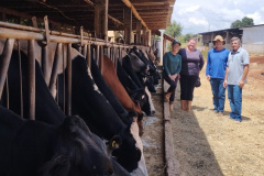 SEAB - Programa no Paraná fortalece pecuária leiteira e aumenta rentabilidade dos produtores