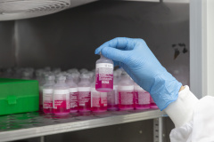 Parceria entre Tecpar e UFPR fortalece PD&I de vacina antirrábica veterinária