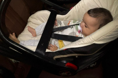 Férias de Verão Corpo de Bombeiros alerta para cuidados no transporte de crianças em veículos