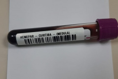 Fevereiro Laranja: a luta contra a leucemia e a importância do diagnóstico precoce