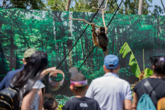 Best of the Best: com Foz do Iguaçu, Paraná marca presença na maior premiação da TripAdvisor