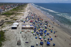 Saúde reforça orientações para prevenir acidentes com águas-vivas no Litoral durante o Carnaval