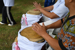 SEEC lança edital de bolsas para mestras e mestres de  Culturas Tradicionais e Populares