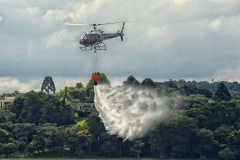 IAT - Treinamento COA-IAT