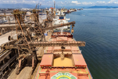 Sugestão matéria | Exportações de soja e carnes sustentam movimentação nos portos paranaenses no 1º bimestre