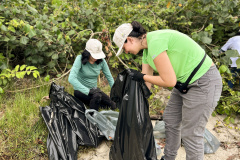 Mutirão da Portos do Paraná recolhe quase 200 kg de resíduos em manguezais