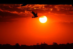 VERÃO 2025/ 2026 REGISTRA TRÊS TORNADOS E TEMPERATURAS PERTO DOS 40°C NO PARANÁ