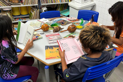 SEED - Paraná lidera acesso a bibliotecas e rede estadual revela acervos com obras raras do início do século XX