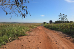 DER - Francisco Alves