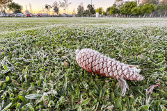 MAIO TERÁ GEADA, FRENTES FRIAS E MAIS SINAIS DE INVERNO NO PARANÁ