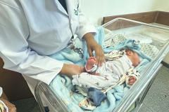 SESA - Paraná amplia monitoramento da triagem neonatal e reforça diagnóstico precoce