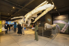 Sanepar - Museu da Sanepar vai abrir também aos domingos