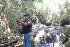  Primeira edição da força-tarefa "Espaço Naturais Protegidos", de combate a crimes ambientais em Unidades de Conservação, aplicou R$ 878 mil em multas.