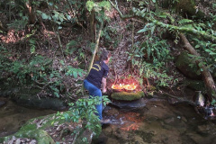  Primeira edição da força-tarefa "Espaço Naturais Protegidos", de combate a crimes ambientais em Unidades de Conservação, aplicou R$ 878 mil em multas.