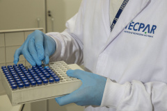 TECPAR - investimentos Fundo PR