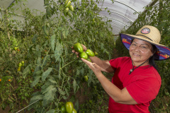 Tecpar apoia Paraná na liderança nacional de produtores rurais com certificação de orgânicos