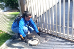 SANEPAR - Uso correto da rede de esgoto contribui para a despoluição de rios urbanos