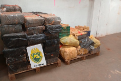 PMPR apreende mais de 880 quilos de maconha em Foz do Iguaçu
