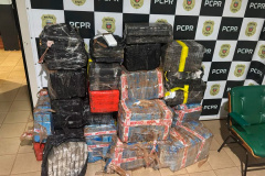 PCPR apreende mais de 700 quilos de entorpecentes em Medianeira