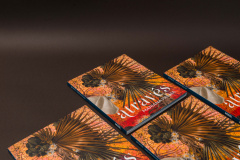 MON lança dois novos catálogos de exposições