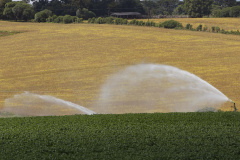 ICMS zero: Paraná prorroga isenção para agropecuária até 2026